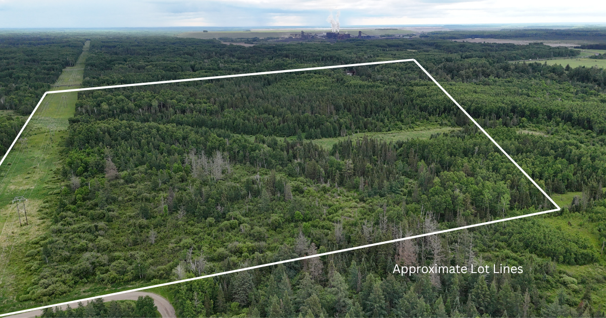 TBD Quaal Road, Forbes, MN 55738 - #1