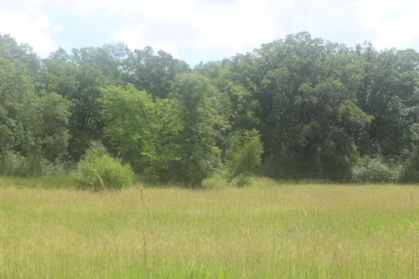 14xxx Green Meadow Road, Milaca, MN 56353