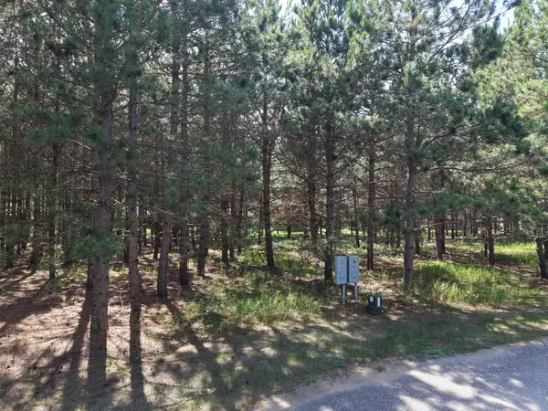 1005 Ladyslipper, Unit 15 Lane, Park Rapids, MN 56470