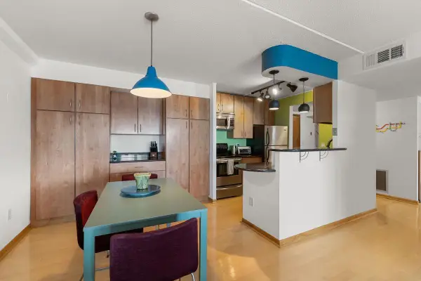 1920 S 1st Street #1903, Minneapolis, MN 55454