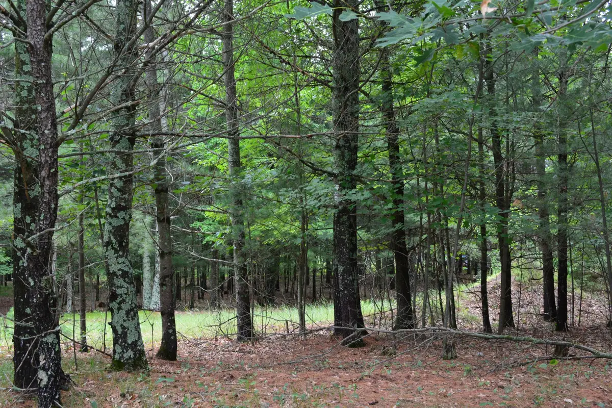 TBD Benson Road, Grantsburg, WI 54840 - #1