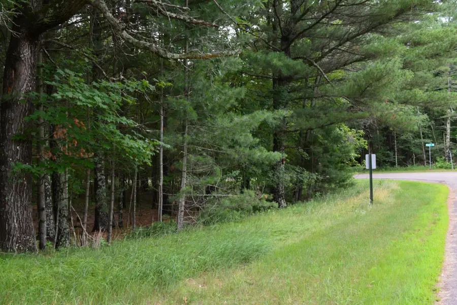 TBD Benson Road, Grantsburg, WI 54840 - #3