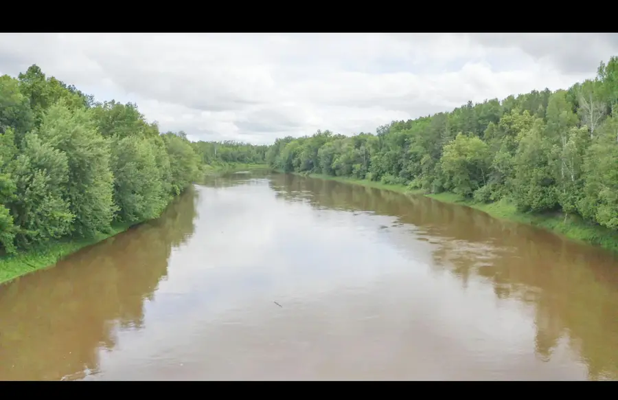 TBD County Road 79, Rainy Lake, MN 56649 - #2