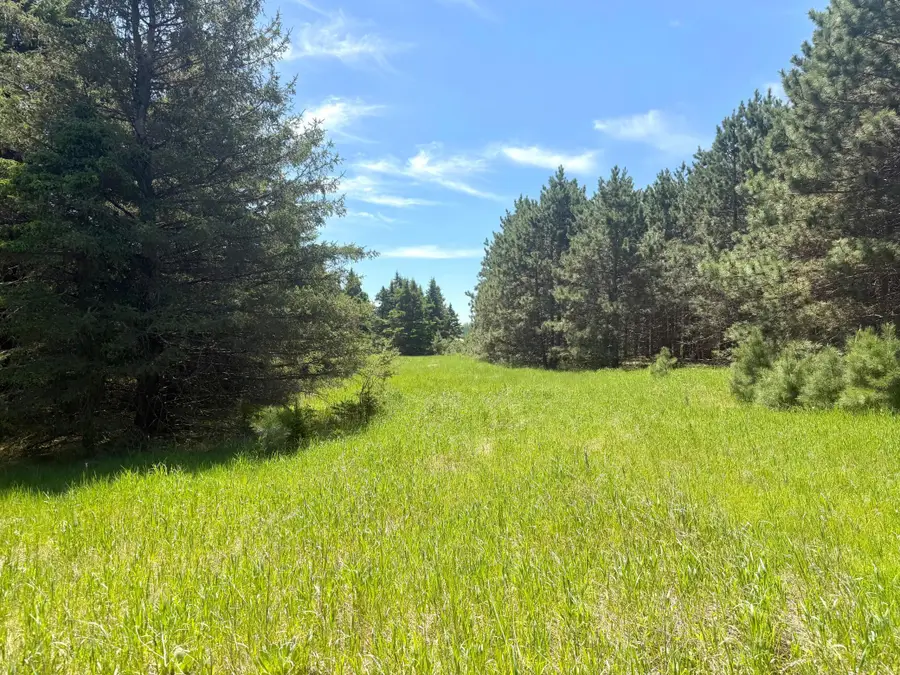 TBD-20AC Sleepy Hollow Road, Brainerd, MN 56401 - #2