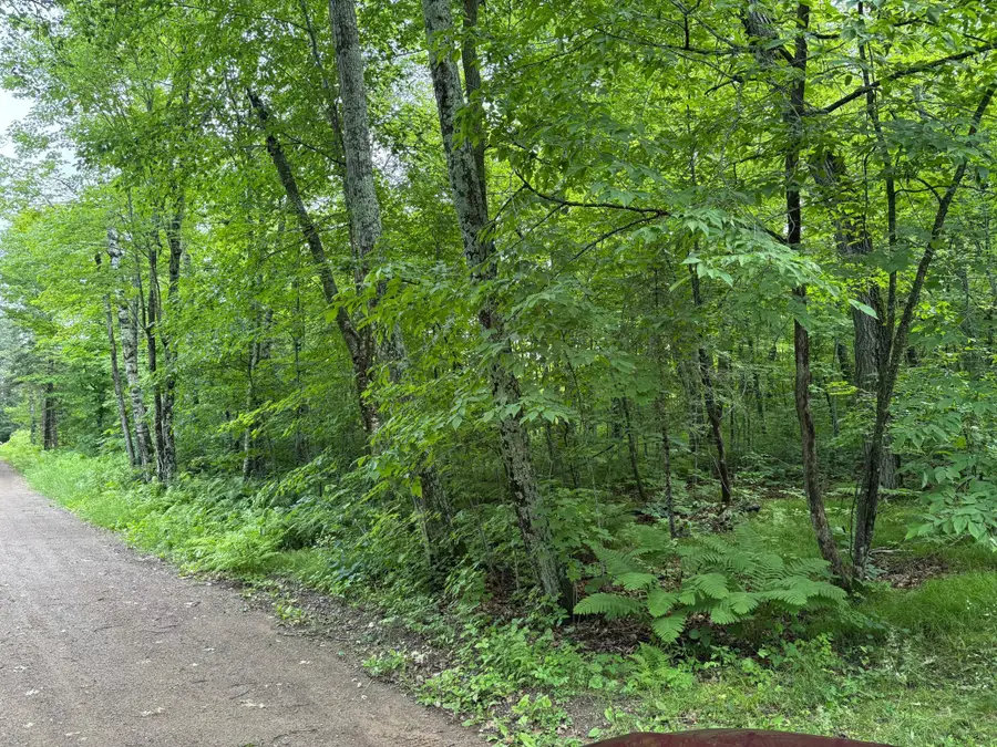TBD 254th Lane, Aitkin, MN 56431 - #2