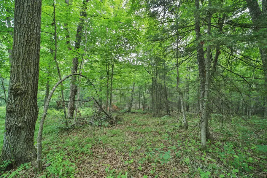 TBD Garden Ln Lane, McGregor, MN 55760 - #3