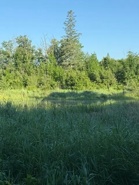 TBD Tbd, Pine River, MN 56474 - #2