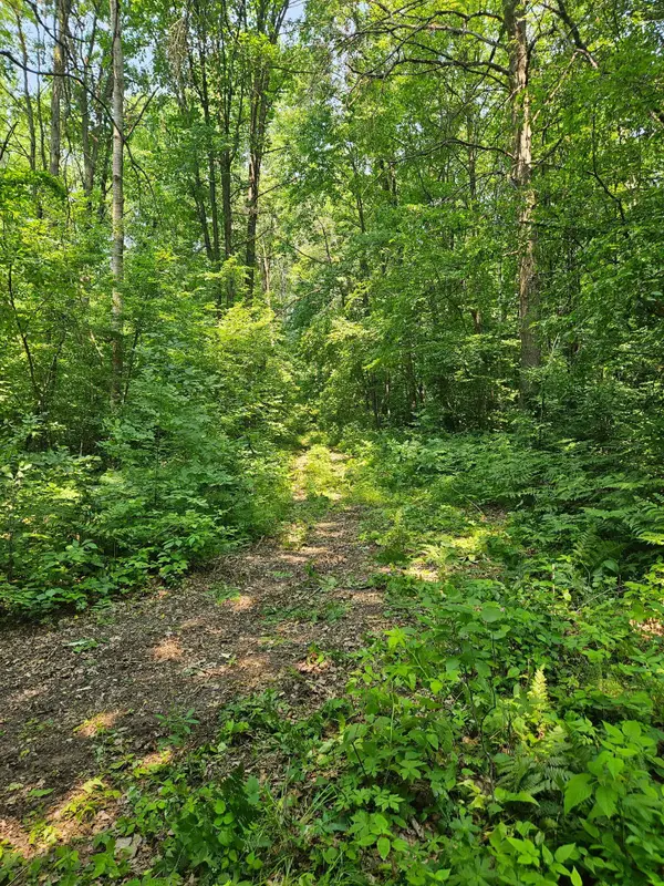 49 acres 16th Avenue, Cameron, WI 54822