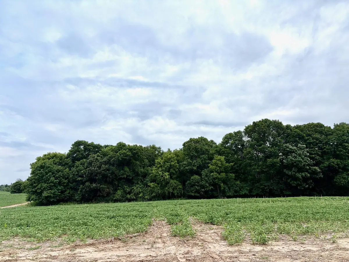 TBD (L10B2) County Road 5 Nw, Isanti, MN 55040 - #1