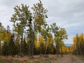 000 Aspen Lane, Silver Bay, MN 55614 - #1