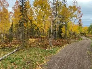 000 Aspen Lane, Silver Bay, MN 55614 - #3