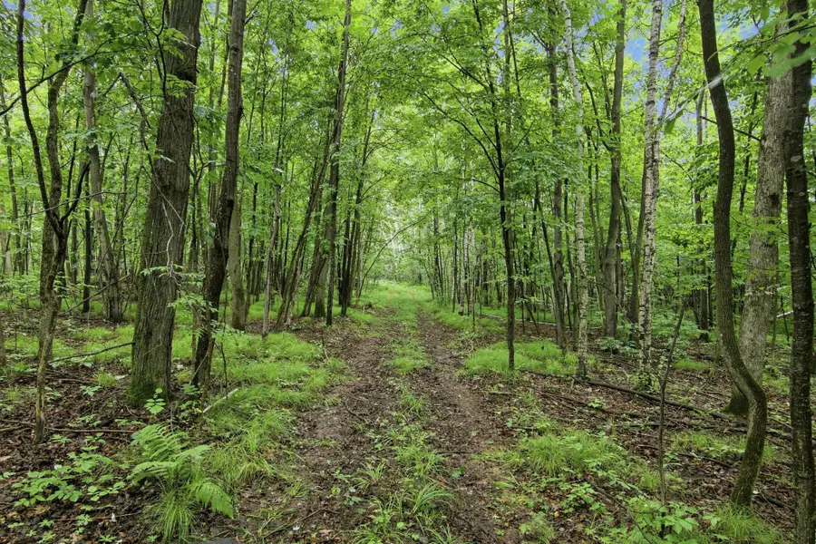 Lot 2 CSM 7522 4th Street, Clayton, WI 54004 - #3