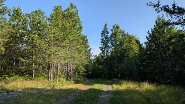 Lot A Hwy. 24, Orr, MN 55771
