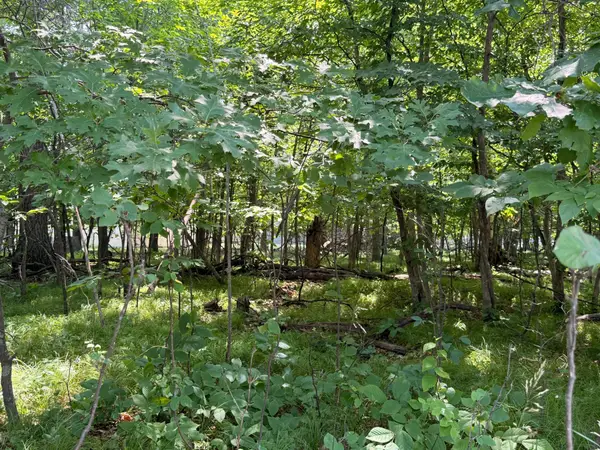 TBD Breezy Point Boulevard, Breezy Point, MN 56472