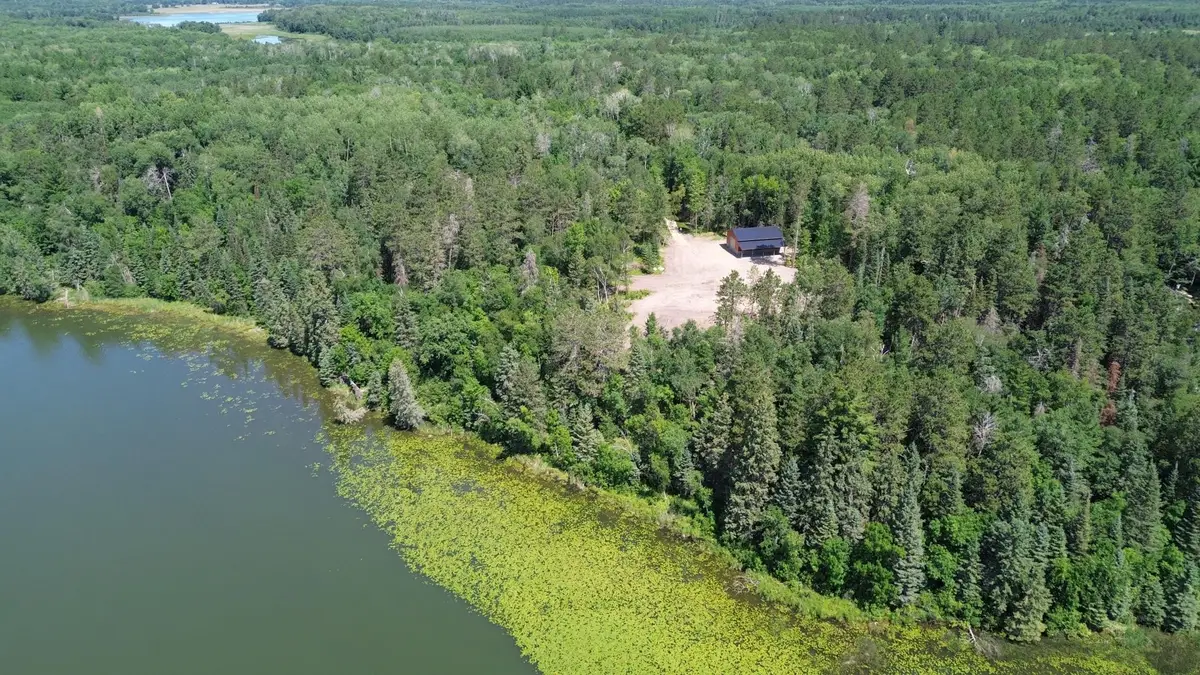 11187 Far Portage Drive, Park Rapids, MN 56470 - #1