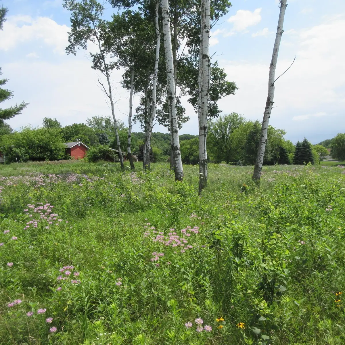 Lot 12 516th Street, Menomonie, WI 54751 - #1
