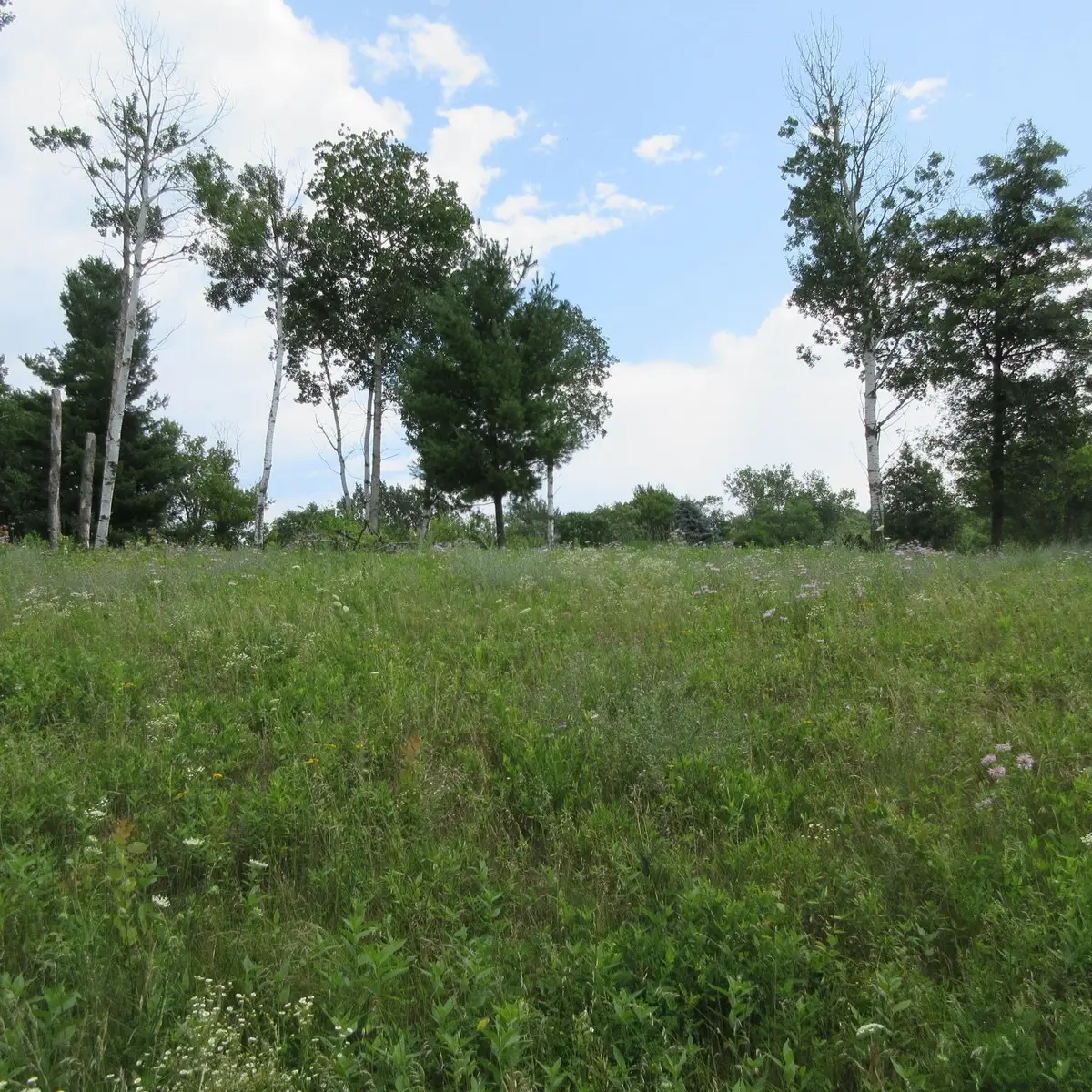 Lot 13 Street, Menomonie, WI 54751 - #1