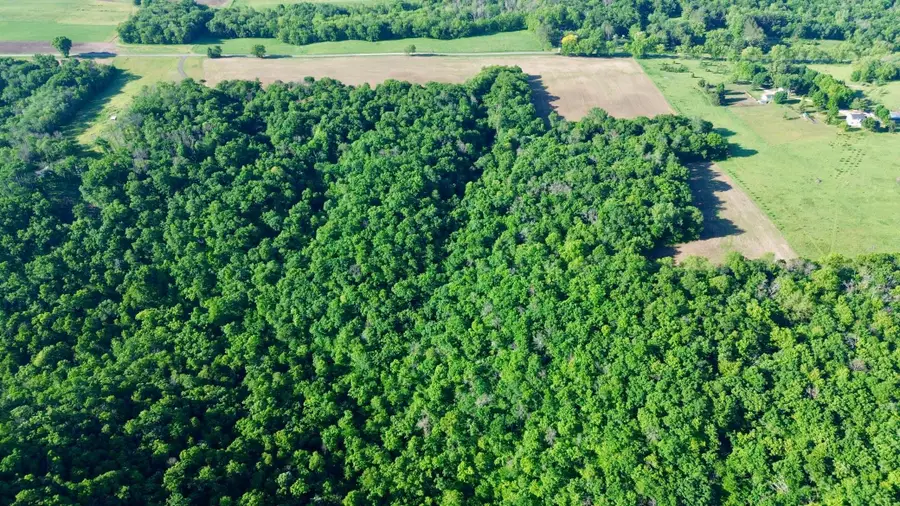 TBD 160th Avenue, Maiden Rock, WI 54750 - #2
