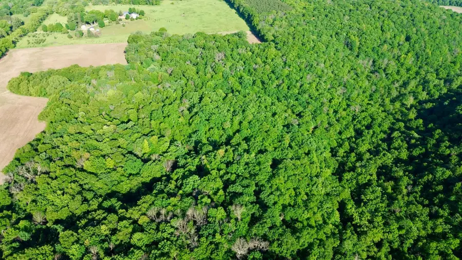 TBD 160th Avenue, Maiden Rock, WI 54750 - #3
