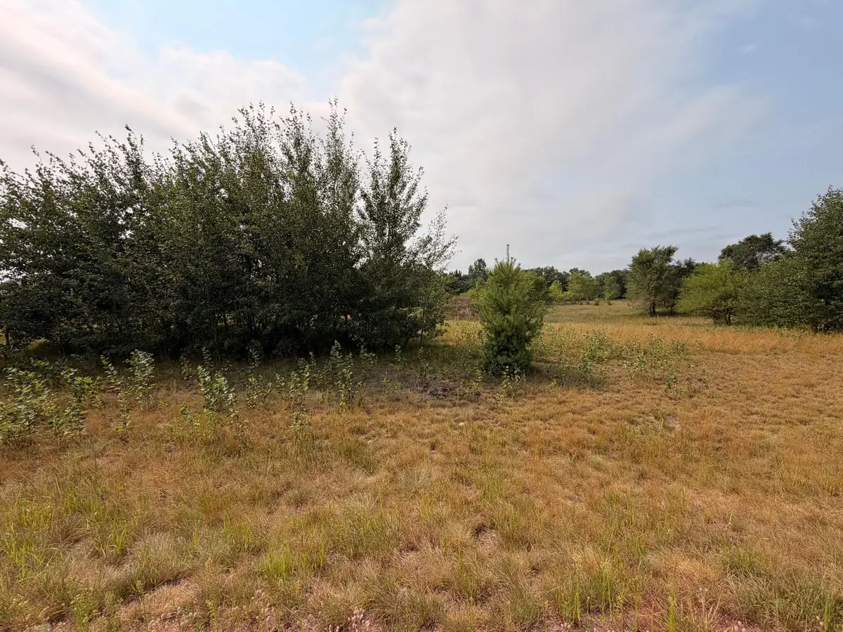 1961 Nelson Lake Road, Pillager, MN 56473 - #1