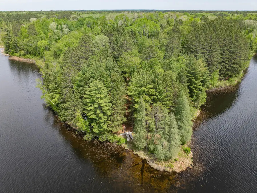 29588 County Road 52, Bigfork, MN 56628 - #2