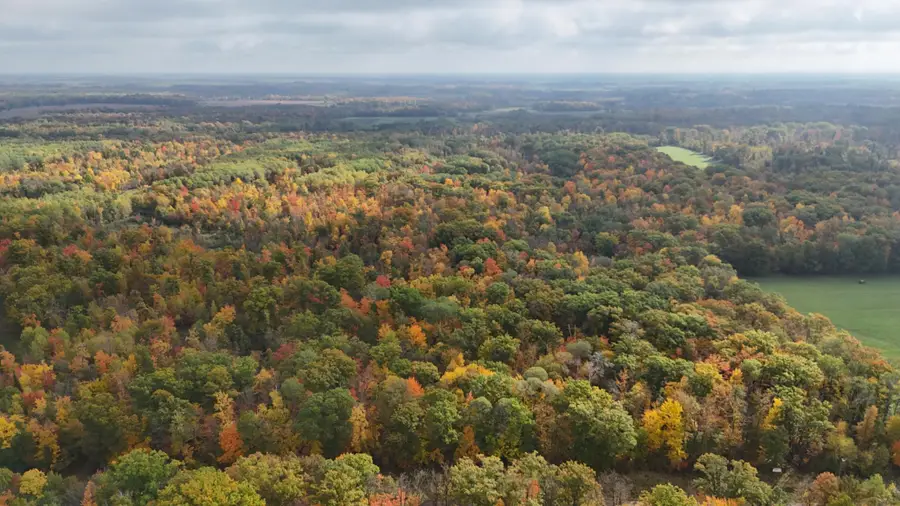TBD Skyview Street, Brook Park, MN 55007 - #2