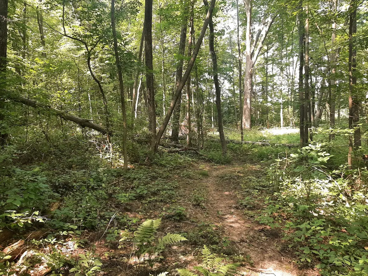 TBD Xxx 279th Street, Osceola, WI 54020 - #1