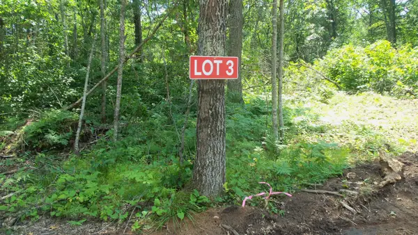 Lot 3 Birch Tree Trl, Spooner, WI 54801