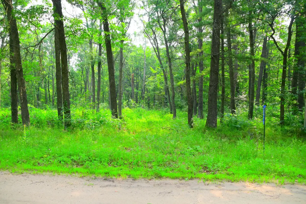 38970 Odin Court, Browerville, MN 56438 - #1