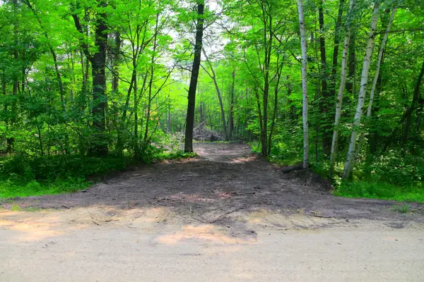 27537 Ode Circle, Browerville, MN 56438
