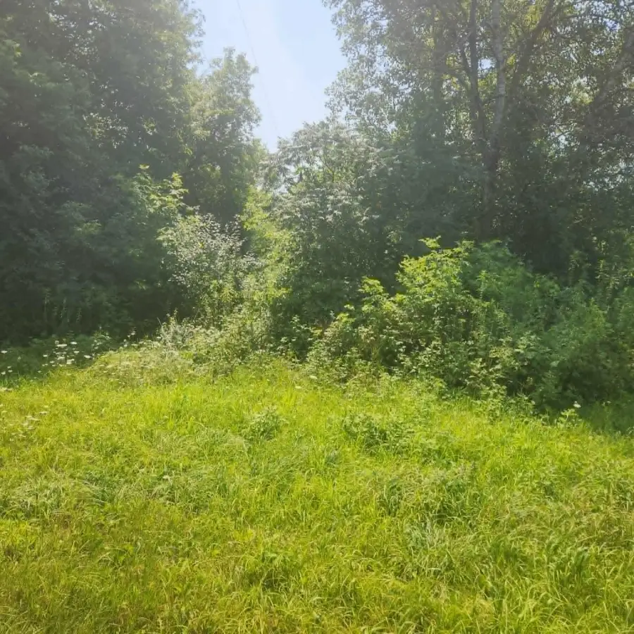 xxx 220th Ave Lot 2, New Richmond, WI 54017 - #3