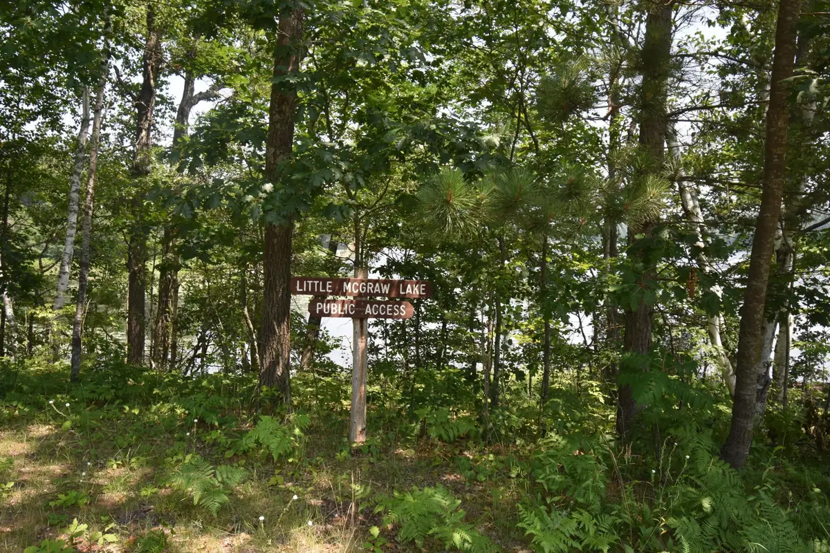 332xx Mcgraw Lake Road, Danbury, WI 54830 - #1