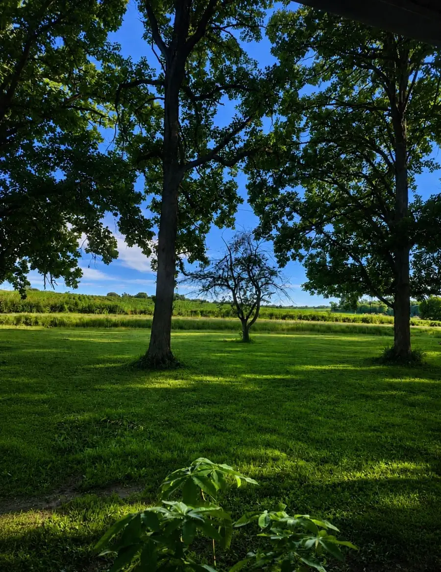 465 70th Avenue, Clayton, WI 54004 - #2