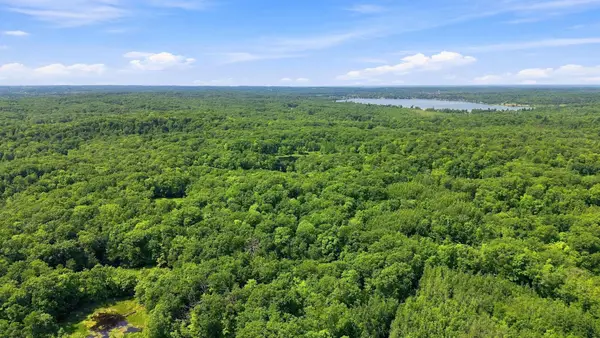 TBD Chippewa Trail, Luck, WI 54853