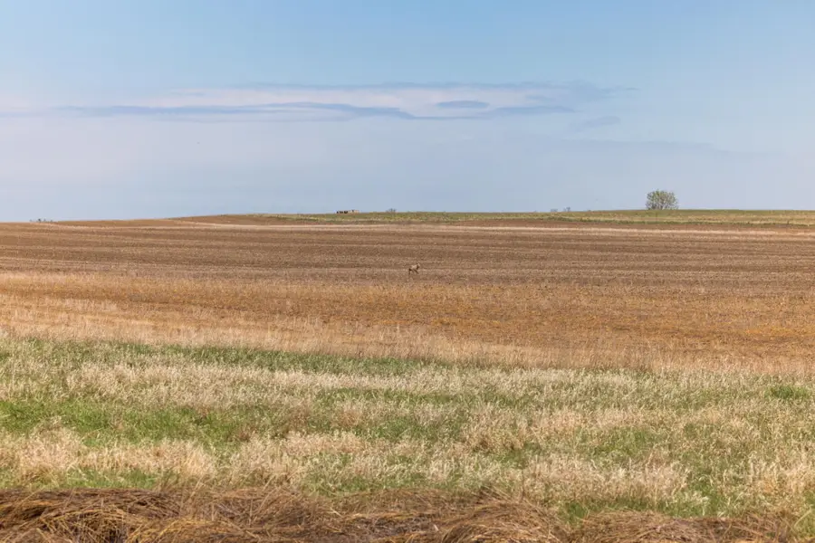 Tbd Sec 24 2 Ave Se Lot 1, Orange, ND 58639 - #2