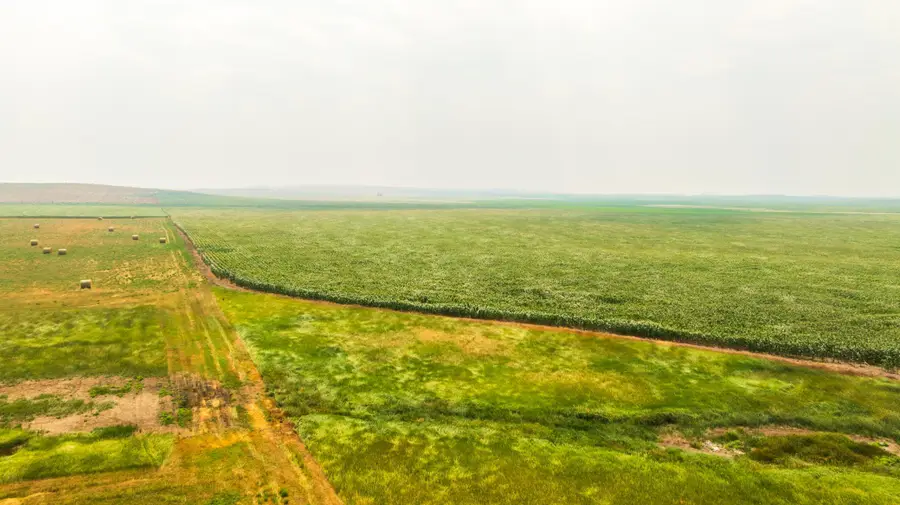 TBD Sec 25 3 Ave Se Lot 5, Orange, ND 58639 - #3
