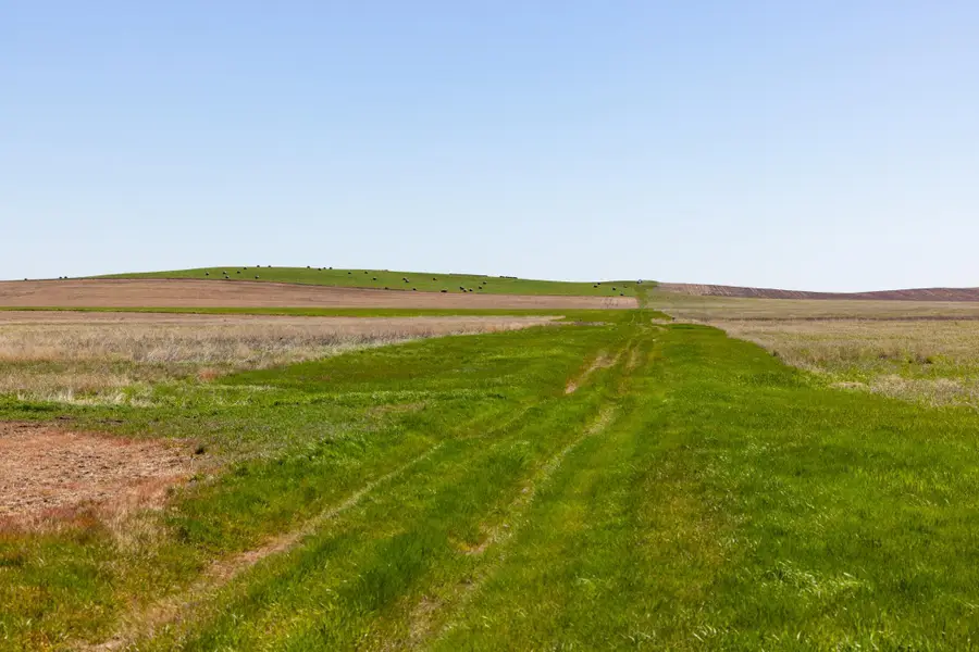 TBD Sec 25 31 St Se Lot 6, Orange, ND 58639 - #3