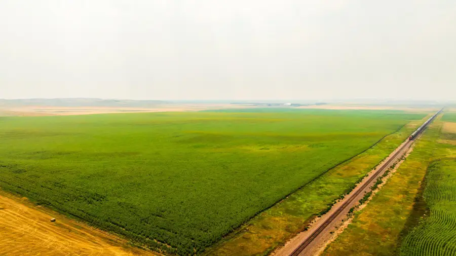 TBD Sec 35 31 St Se Lot 8, Orange, ND 58639 - #2