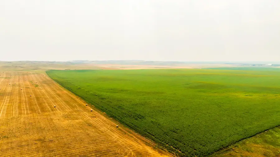 TBD Sec 35 31 St Se Lot 8, Orange, ND 58639 - #3