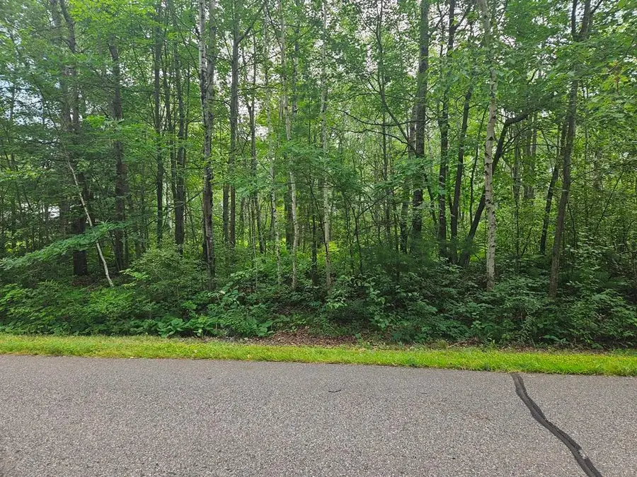 Lot 4 Blk 2 SW 1st Avenue, Grand Rapids, MN 55744 - #3
