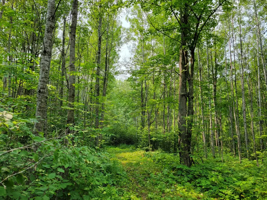 TBD Woodbury Drive, Wright, MN 55798 - #3