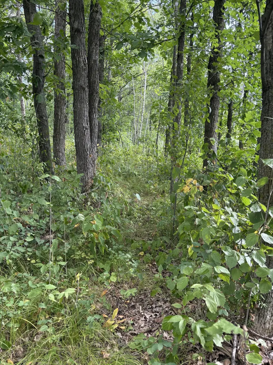 XXX Meadowview Road, Brainerd, MN 56401 - #3