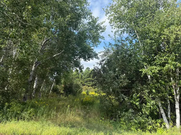 5 Evelyn Street, Esko, MN 55733