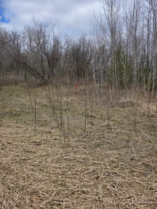 TBD Rolland Road, Cohasset, MN 55721