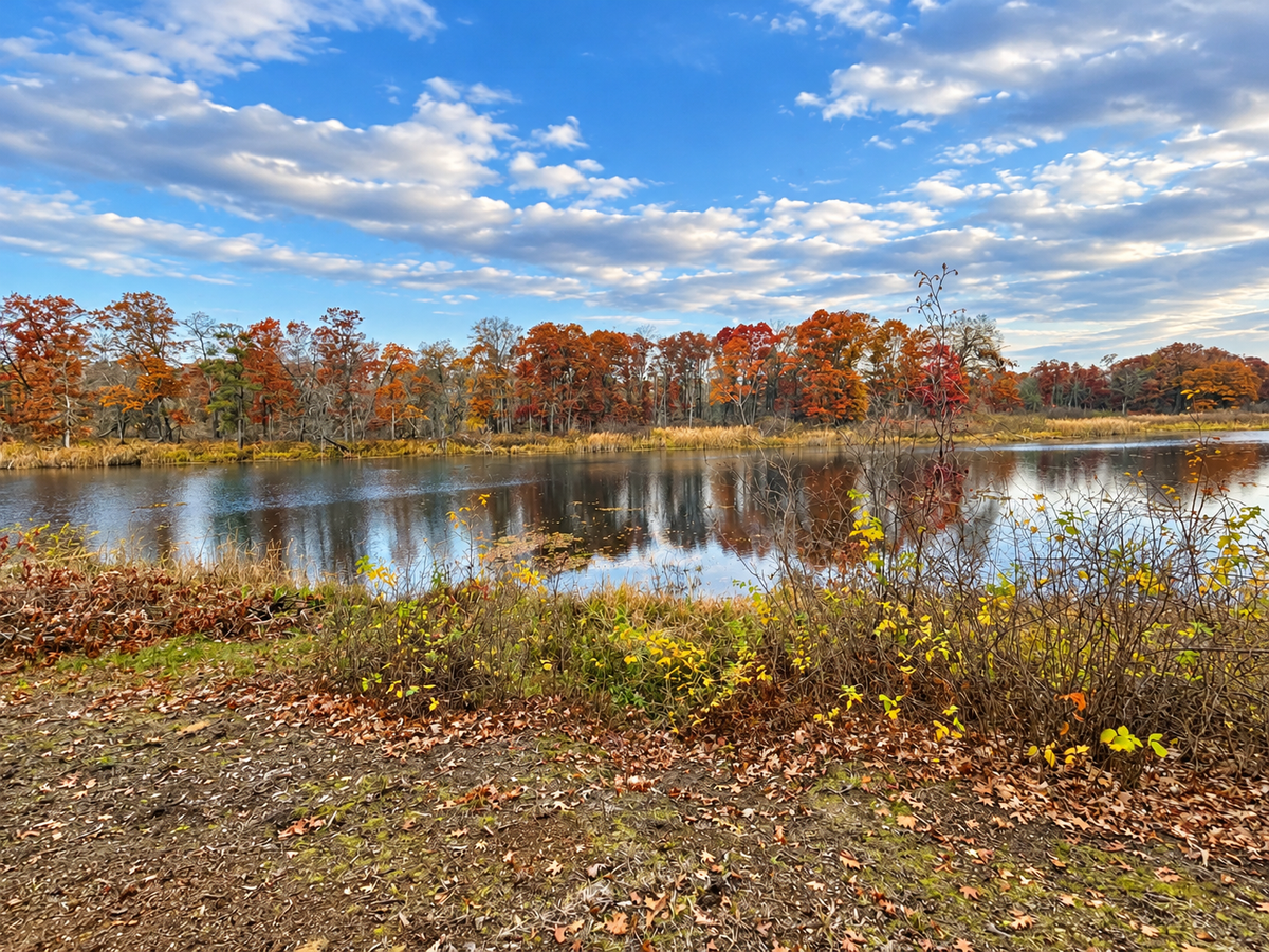12444 Fawn Lake Road, Crosslake, MN 56442 - #1