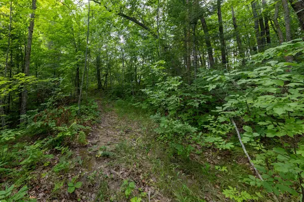 TBD Mn-18, Brainerd, MN 56401