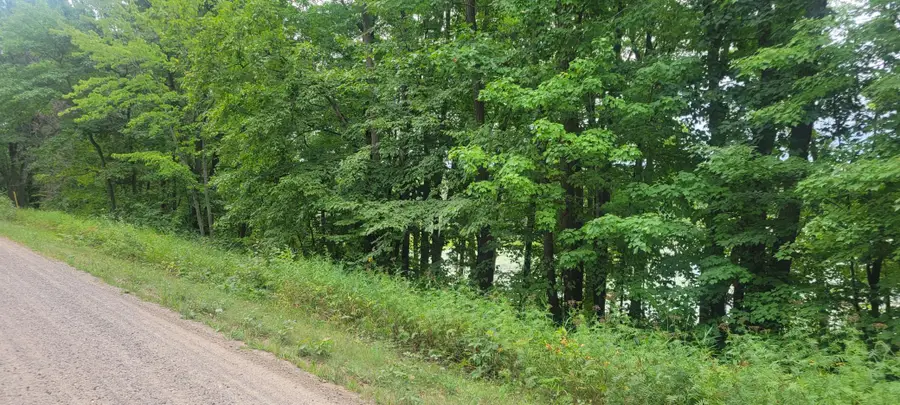 TBD Cedar Road, Cushing, MN 56443 - #2