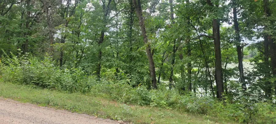 TBD Cedar Road, Cushing, MN 56443 - #3