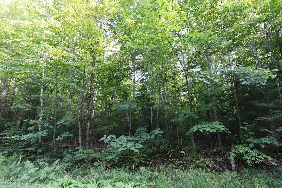 36XX N Shore Road, La Pointe, WI 54850 - #3