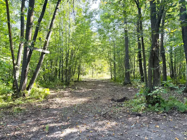 TBD-PARCEL C County Rd 23, Brainerd, MN 56401